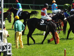20140405 中山9R 山吹賞 ショウナンラグーン 14
