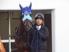 20181228 中山12R (1000) アドマイヤシナイ 11