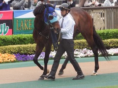 20190427 東京9R 秩父特別(1000) アドマイヤシナイ 05