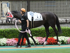 20140628 東京2R トマトリコピン 04