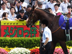 20160605 東京11R 安田記念(G1) モーリス 13