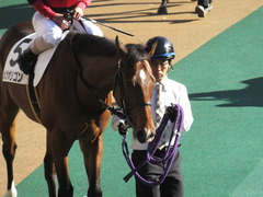 20161120 東京1R 2歳未勝利 メガポリゴン 13