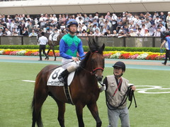 20160528 東京8R 4歳上500万下 トーセンカナロア 15
