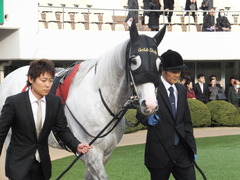 20150125 中山11R AJCC(G2) ゴールドシップ 03