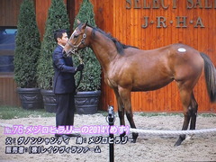 ヒラリー2014