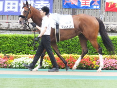 20170625 東京1R 3歳牝馬未勝利 プンメリン 04
