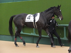 20161218 中山4R 2歳未勝利 ダンスウィズユー 15