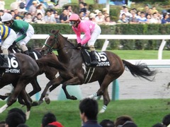 20160903 札幌12R 日高特別(1000) ツクバアスナロ 20