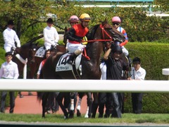20170910 阪神3R 3歳未勝利 フェアチャイルド 27