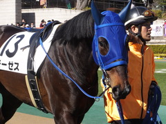 20170204 東京4R 4歳上障害未勝利 モーゼス 10