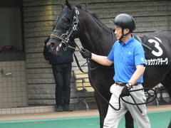 20170625 東京11R パラダイスS 3歳上(OP) ショウナンアチーヴ 04