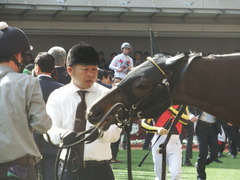 20180401 阪神11R 大阪杯(G1) トリオンフ 07