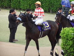 20180415 中山11R 皐月賞(G1) ダブルシャープ 20