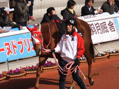 20170225 阪神9R 丹波特別(500) レーヌドブリエ 09
