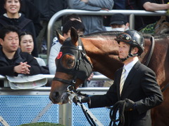 20180304 中山9R スピカS(1600) オウケンブラック 03