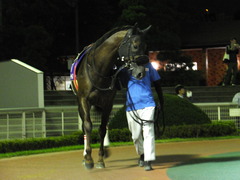 20150929 大井11R ムーンライトカップ グレートチャールズ 04
