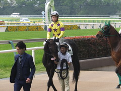 20160423 東京4R 3歳未勝利 ラルゴランド 13