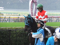 20141101 東京8R トレジャーマップ 08
