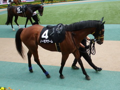 20180506 東京12R 立川特別(1000) ノーモアゲーム 08