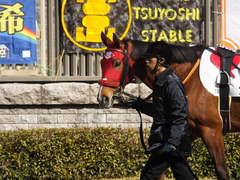 20150221 東京1R 3歳未勝利 フレンドマキシマム 03