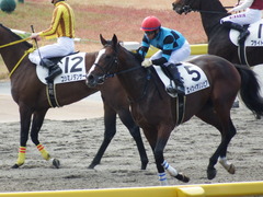 20171126 東京4R 2歳メイクデビュー エイカイオリンピア 21