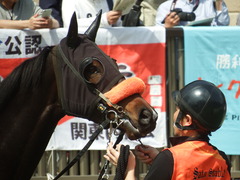 20190421 東京8R (500) ラプターゲイル 10