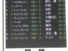 20141116 東京10R ショウナンアポロン 16