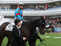 20151213 中山8R 3歳上500万下 ヴィルトグラーフ 09
