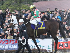 20161229 大井10R 東京大賞典(G1) サンドプラチナ 18