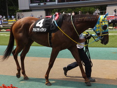 20150628 東京11R パラダイスS アルマディヴァン 08