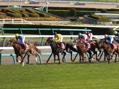 20150328 中山11R 日経賞(G2) ラブイズブーシェ 13