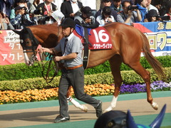 20190421 東京11R フローラS(G2) クラサーヴィツァ 04