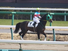 20170319 中山4R 3歳メイクデビュー ジュンマシュウ 10