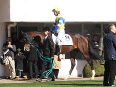 20150112 中山5R 3歳未勝利 ロジダーリング 11