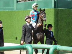 20190302 中山6R 3歳未勝利 マルニ 10
