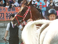 20180527 東京12R 目黒記念(G2) ホウオウドリーム 25