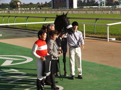 20131117 東京 ショウナンアチーヴ 21