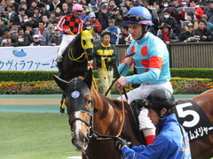 20161127 東京7R ベゴニア賞 クライムメジャー 13