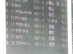 20181006 東京8R (500) ラプターゲイル 01