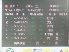 20190317 中山8R (500) ミッキーバード 01