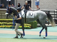 20180506 東京3R 3歳未勝利 ウェディングベール 03