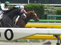 20160619 東京4R 3歳未勝利 オートシャンティ 19