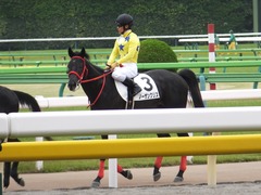 20170611 東京5R 2歳メイクデビュー 22