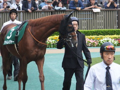 20161008 東京11R サウジアラビアRC(G3) クライムメジャー 03
