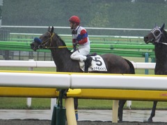 20170513 東京5R 3歳未勝利 トッテモイイコ 12