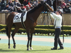 20150221 東京5R 3歳未勝利 トーセンカナロア 10