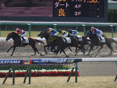 20150104 中山2R 3歳未勝利 ノーブルクリスタル 12