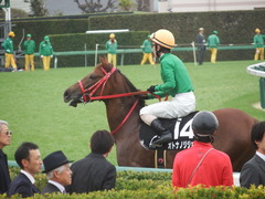 20190310 中山11R アネモネS 3歳牝馬OP オトナノジジョウ 23