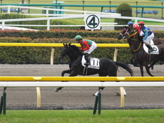 20150614 東京3R 3歳未勝利 コスモポッポ 11