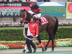 20181104 東京11R AR共和国杯(G2) ホウオウドリーム 24
